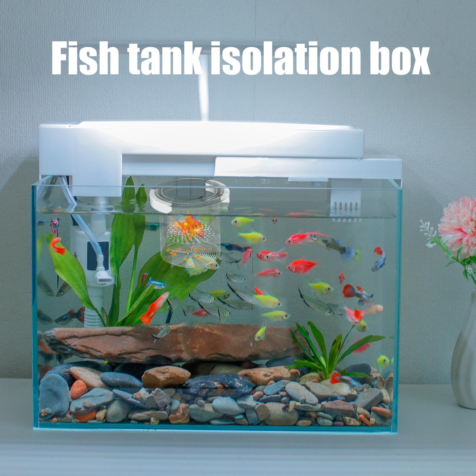 Aquarium Fish Betta - Viskweekbox, drijvende aquariumkweekbox, kweekbak, voerbak, broedkast,