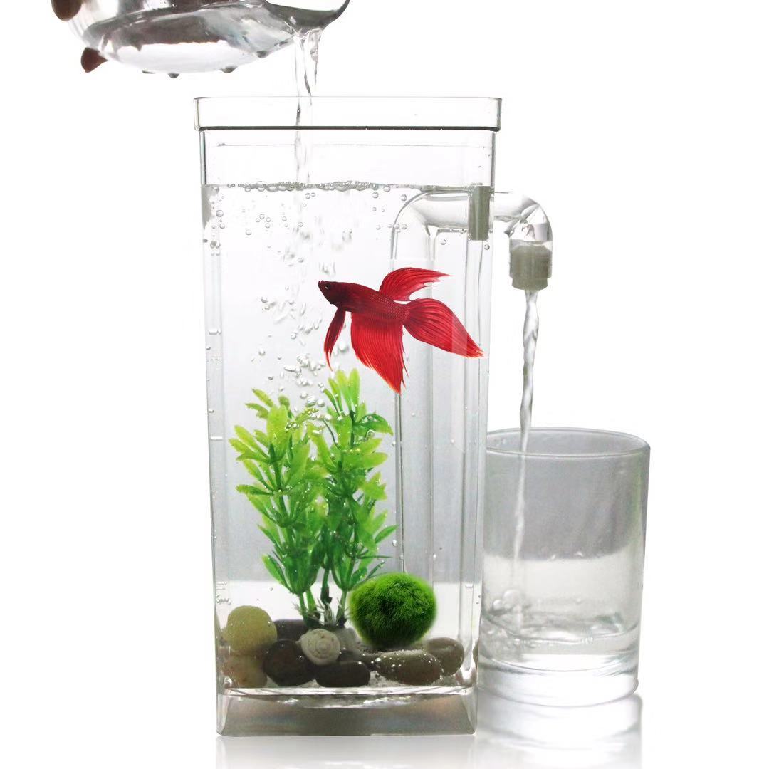Betta Fish Tank - Lui Gratis Water Veranderen Desktop Aquarium
