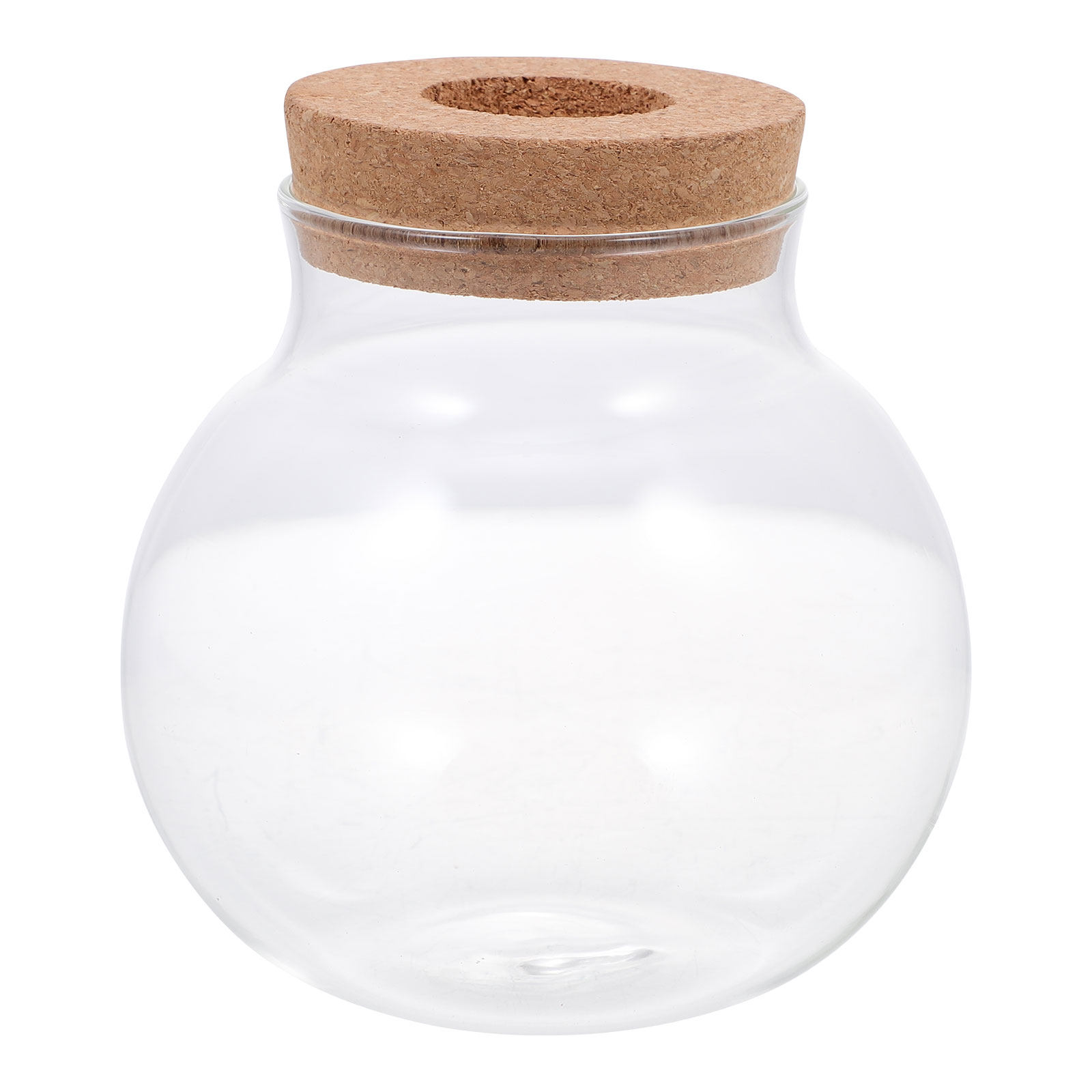 Aquarium Fish Keeping - Klein terrarium voor micro-landschapsbouw, fles met