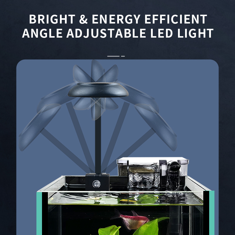 Nieuwe Ultra-Heldere Glazen Be - Betta Fish Tank recensie en prijs