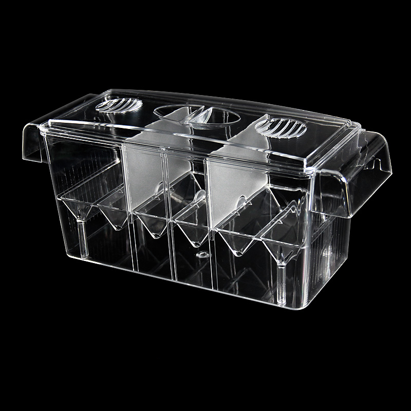 Clear Aquarium Fish Tank Isola - Betta Fish Tank recensie en prijs