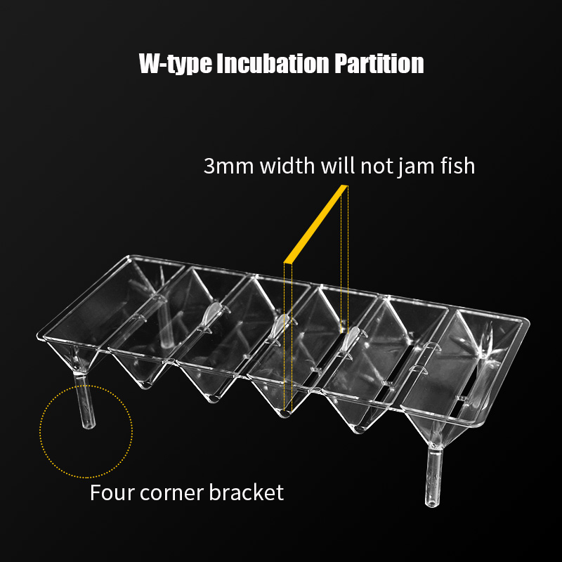 Clear Aquarium Fish Tank Isola - Betta Fish Tank recensie en prijs