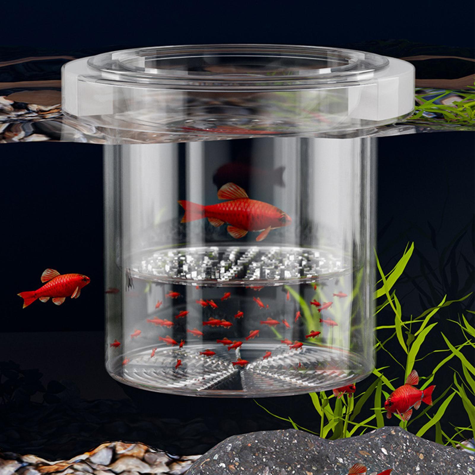 Duurzame viskweekbak, isolatie - Betta Fish Tank recensie en prijs