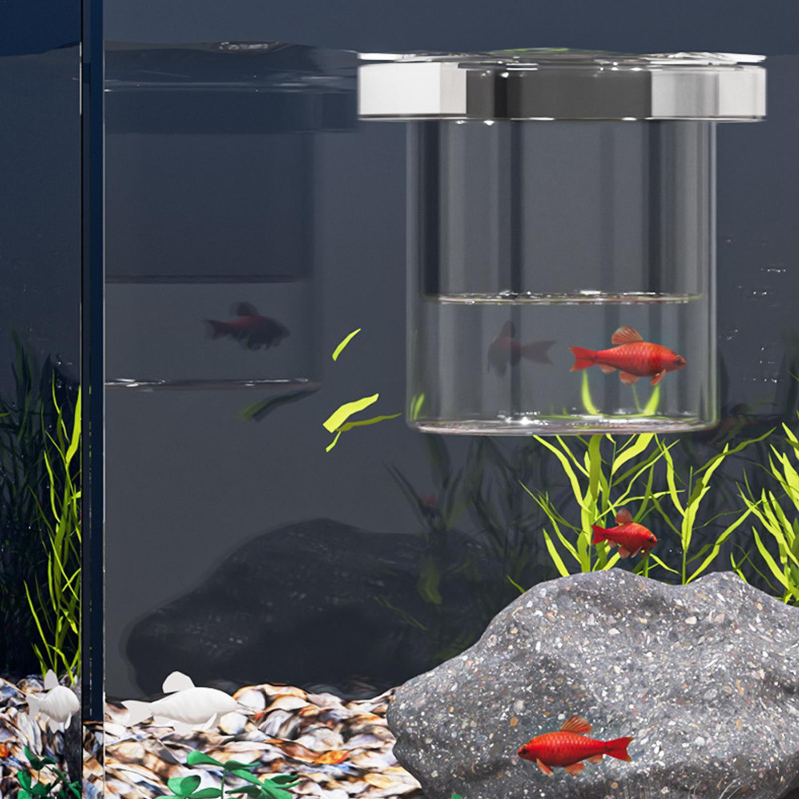 Duurzame viskweekbak, isolatie - Betta Fish Tank recensie en prijs