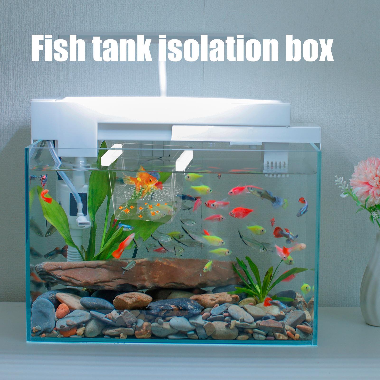 Duurzame viskweekbak, isolatie - Betta Fish Tank recensie en prijs