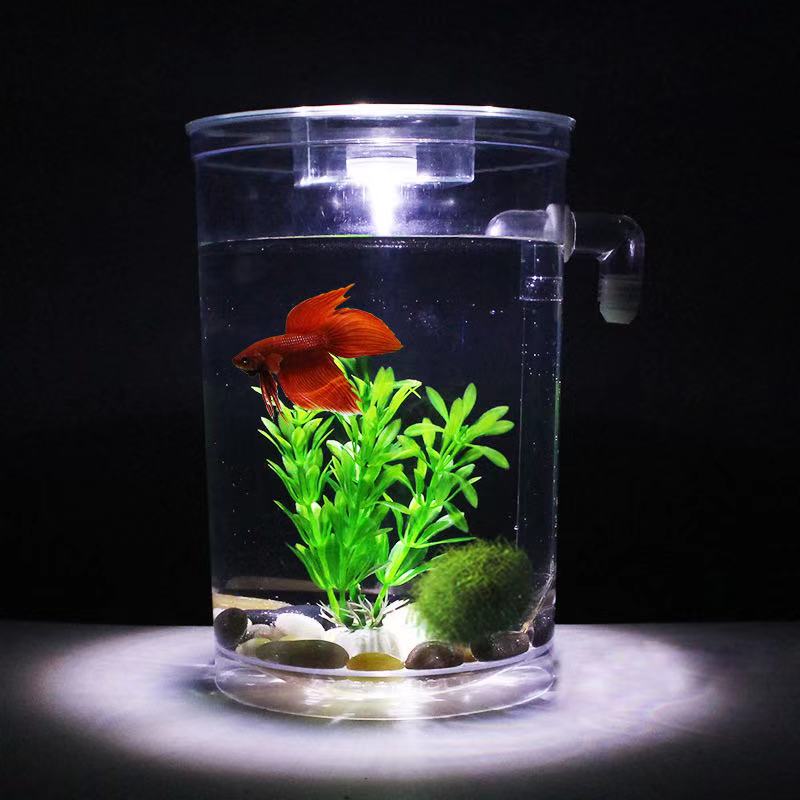 Lui Gratis Water Veranderen De - Betta Fish Tank recensie en prijs