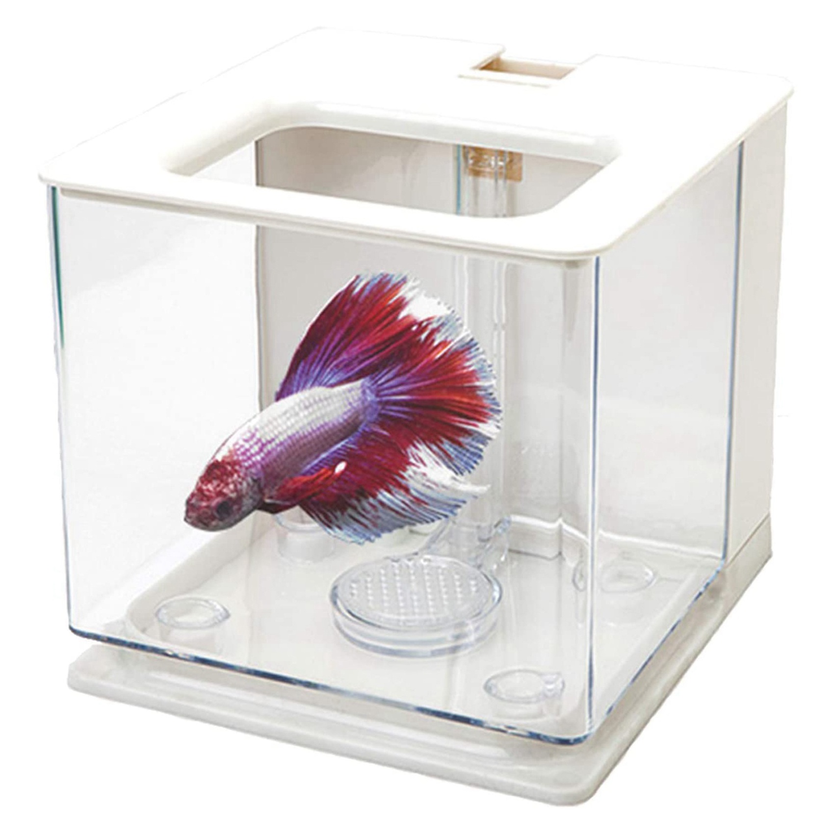 AT21-2X Betta Visbak Aquarium  - Betta Fish Tank recensie en prijs