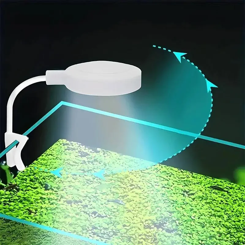 Aquariumlicht met adapter LED- - Aquarium Light recensie en prijs