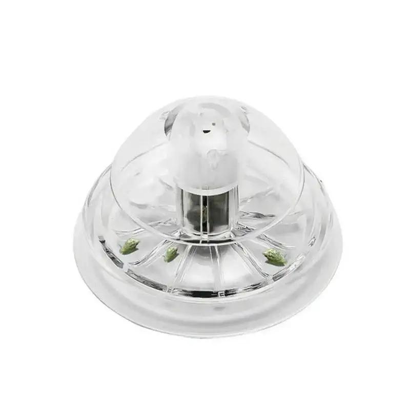 2026 Nieuwe 6/8CM Transparante - Fish Aquarium Home recensie en prijs