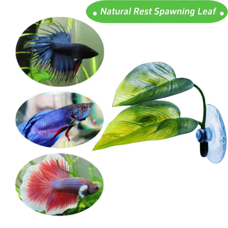 Aquariumbenodigdheden Decorati - Betta Fish Tank recensie en prijs
