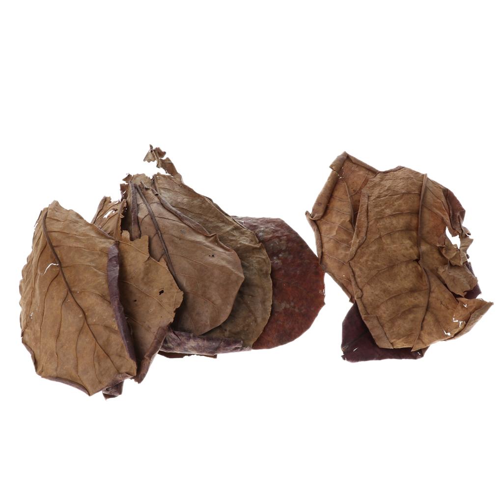 Gunstig bladfilteradditief voo - Aquarium Fish Betta recensie en prijs