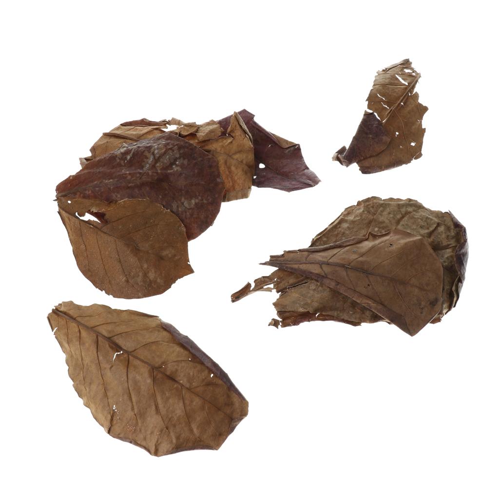 Gunstig bladfilteradditief voo - Aquarium Fish Betta recensie en prijs