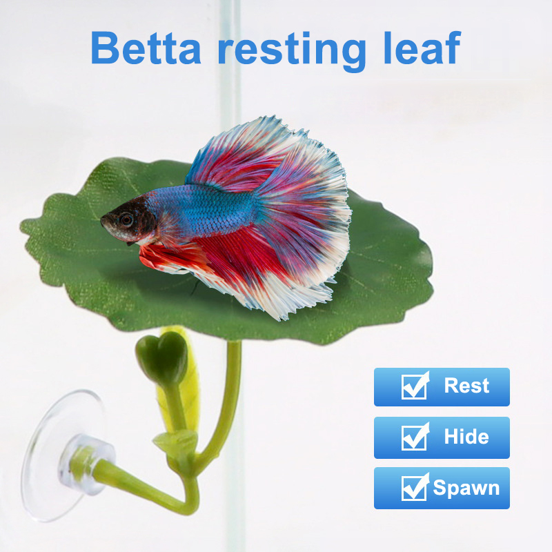 (Ce14)1/5PC Groene bladhangmat - Betta Fish Tank recensie en prijs