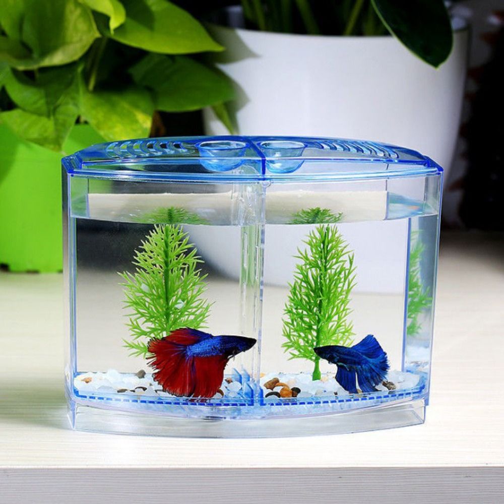 Transparant Betta-Aquarium, Du - Betta Fish Tank recensie en prijs