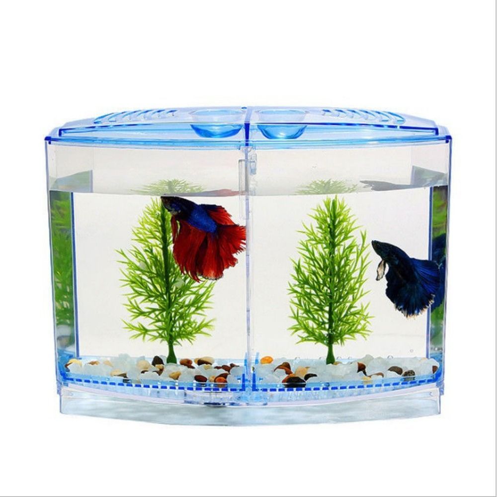 Transparant Betta-Aquarium, Du - Betta Fish Tank recensie en prijs