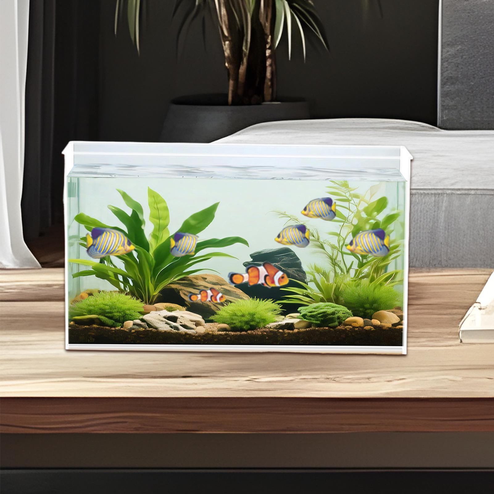 Klein visaquarium, betta-aquar - Betta Fish Tank recensie en prijs