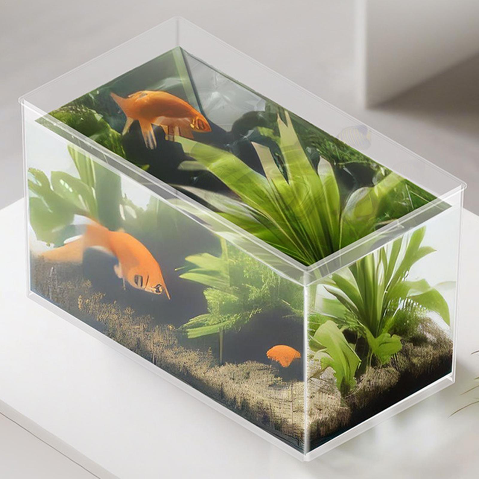 Klein visaquarium, betta-aquar - Betta Fish Tank recensie en prijs