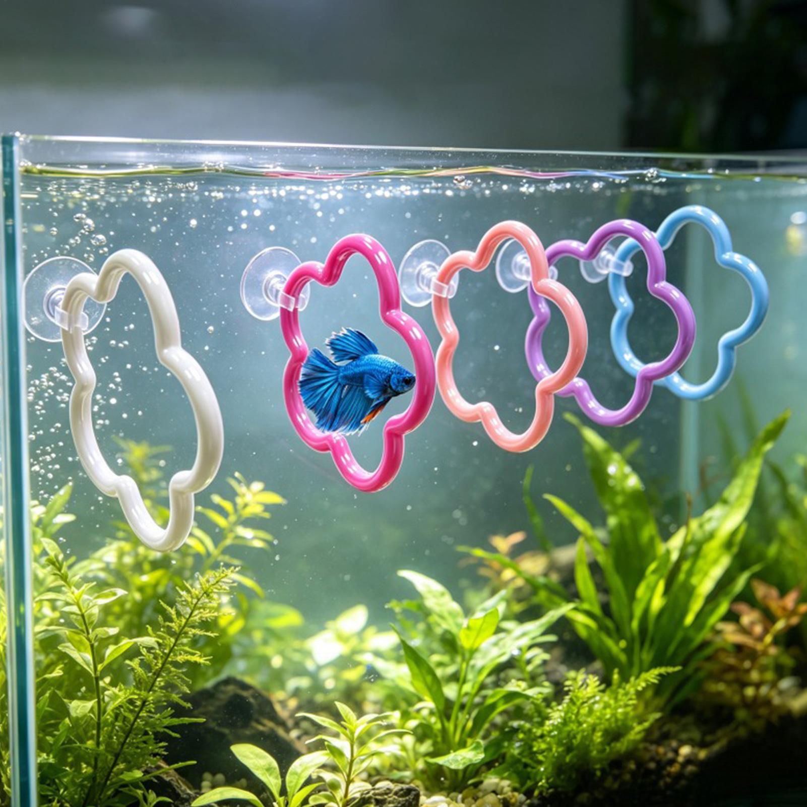 Betta Fish Toys 5 stuks Kleurr - Aquarium Fish Betta recensie en prijs