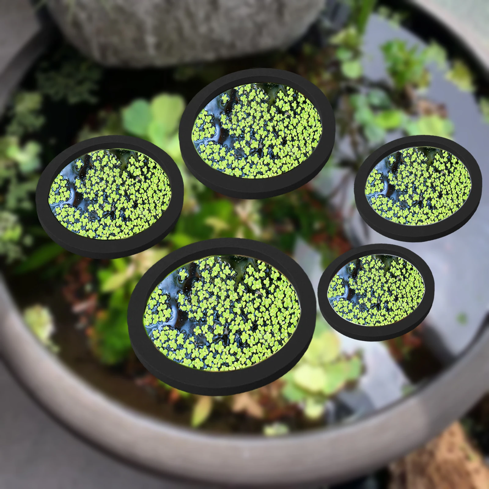 5 stks EVA Vis Voeden Ring Aqu - Aquarium Plants recensie en prijs