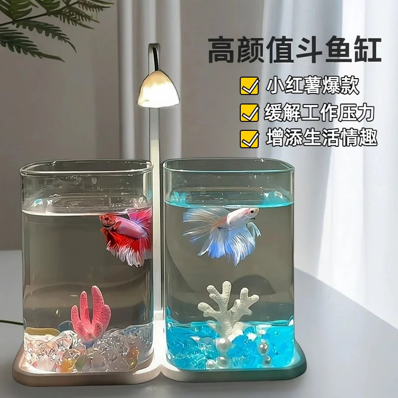 Mini Betta Fish Glass Tank Des - Betta Fish Tank recensie en prijs