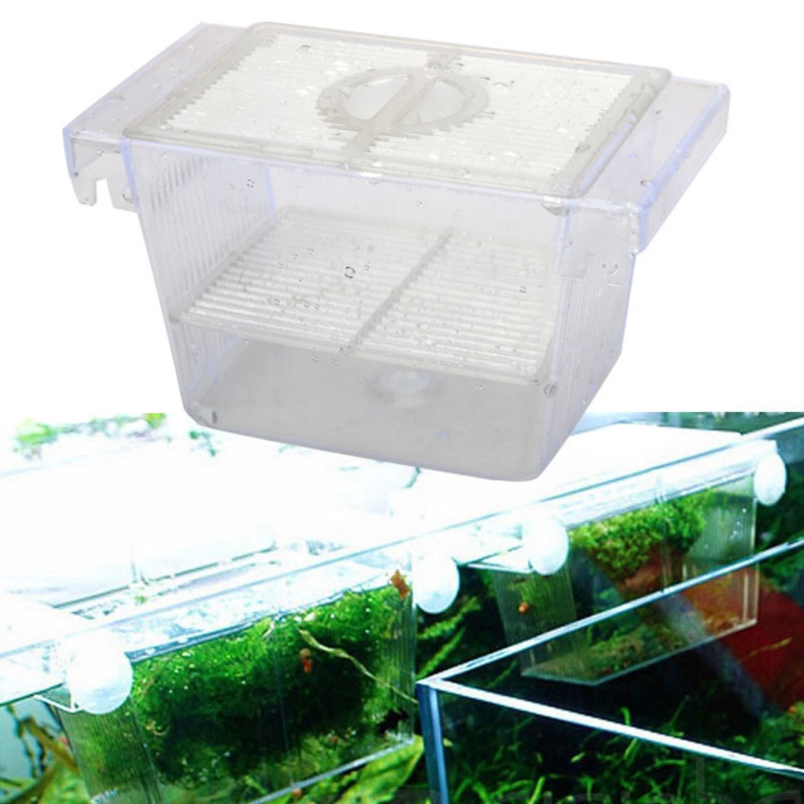 Viskweekbak voor aquarium, tra - Betta Fish Tank recensie en prijs