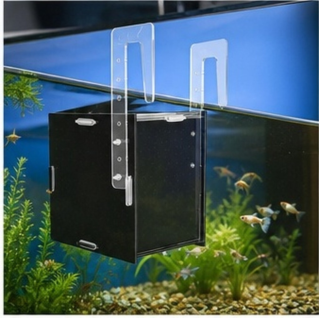 Isolatiebox voor viskweken, ac - Aquarium Fish Betta recensie en prijs